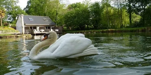 La suite familiale du Pêcheur