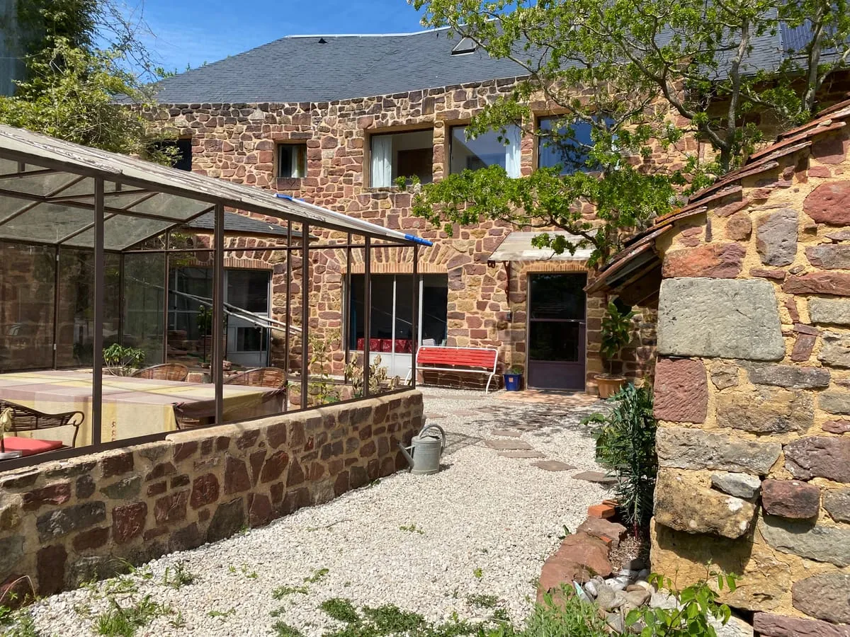 Le palmier d’Alice