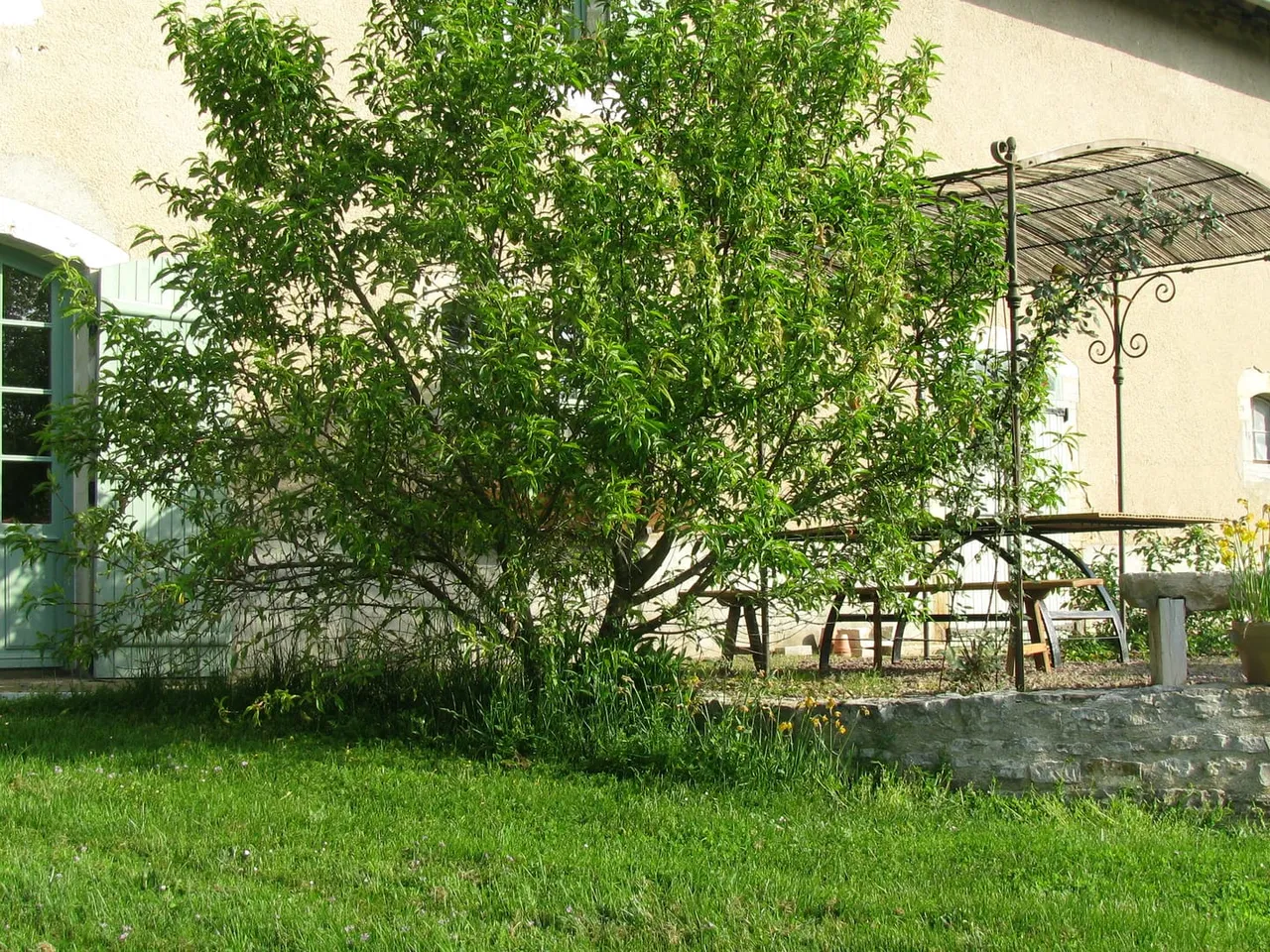 LE DOMAINE D EN BAS