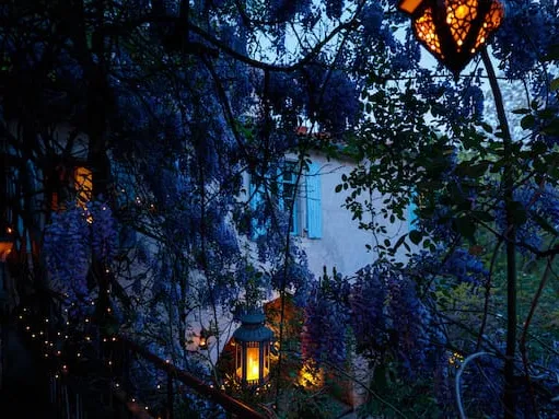 La vieille maison - halte gourmande