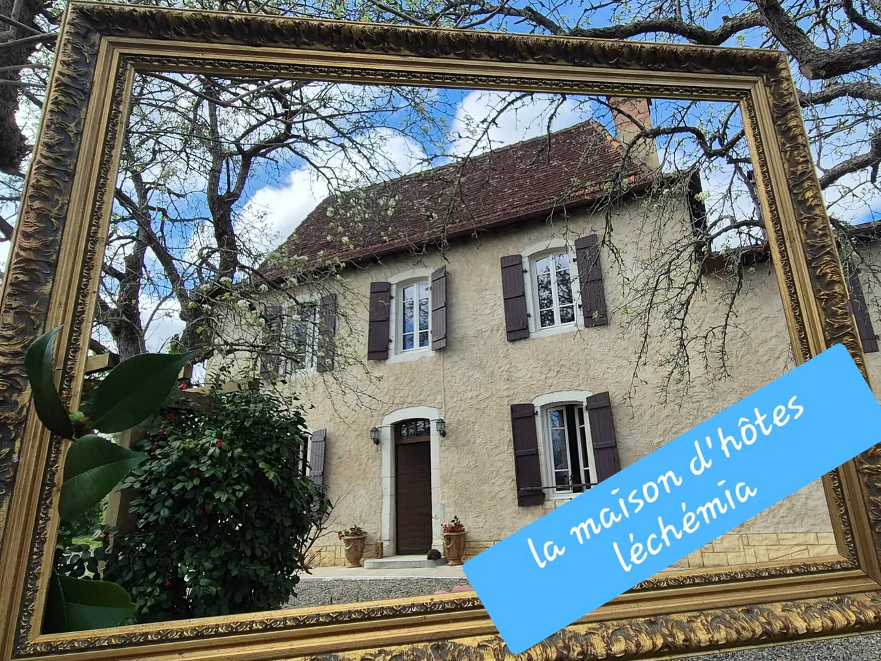 La Maison d'hôtes Léchémia