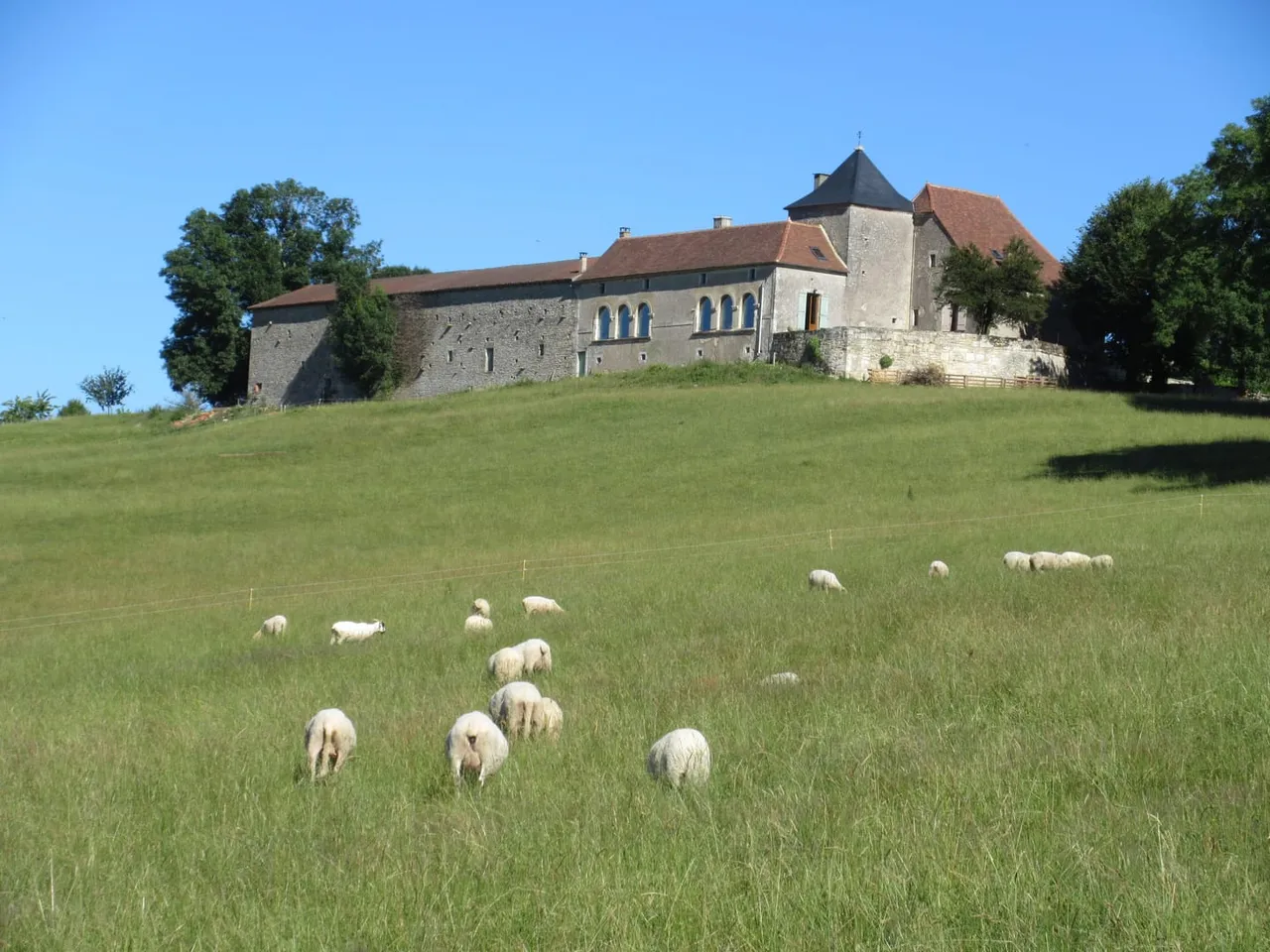 Nature et Piscine au sommet du Périgord