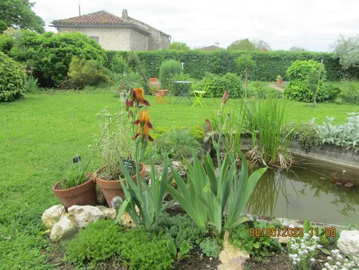 Photo 3