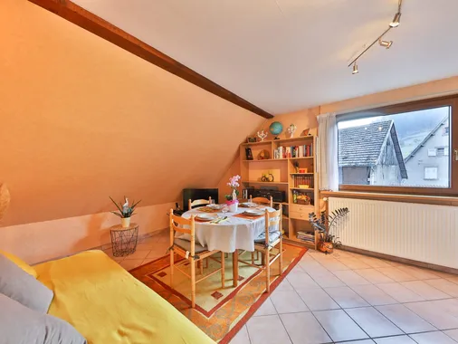 Nouveau gîteLocation Elfe en Alsace