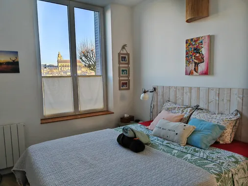 Vue Loire et Cœur de ville exceptionnelle - Chez Gabin Blois